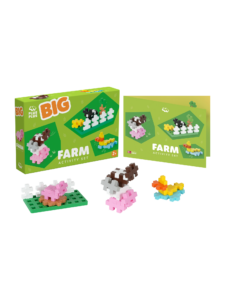 BIG Activity - Farm